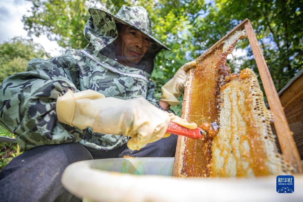 天涯捕鱼苹果版